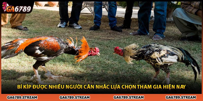 Bí kíp được nhiều người cân nhắc lựa chọn tham gia hiện nay