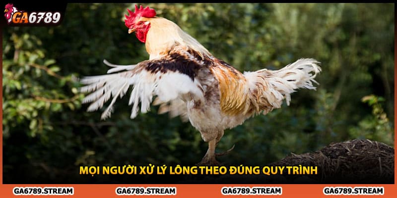 Mọi người xử lý lông theo đúng quy trình